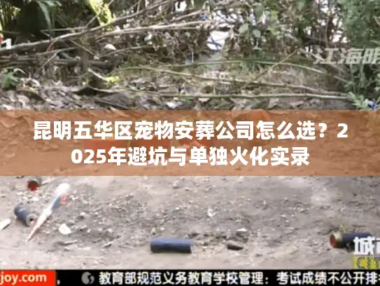 昆明五华区宠物安葬公司怎么选？2025年避坑与单独火化实录