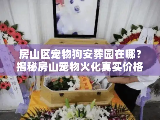 房山区宠物狗安葬园在哪？揭秘房山宠物火化真实价格与流程