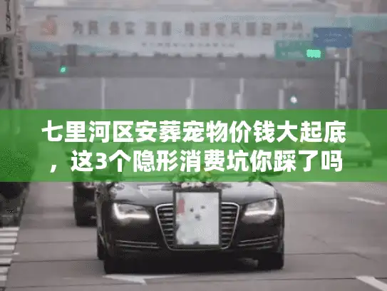 七里河区安葬宠物价钱大起底，这3个隐形消费坑你踩了吗