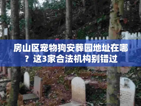 房山区宠物狗安葬园地址在哪？这3家合法机构别错过