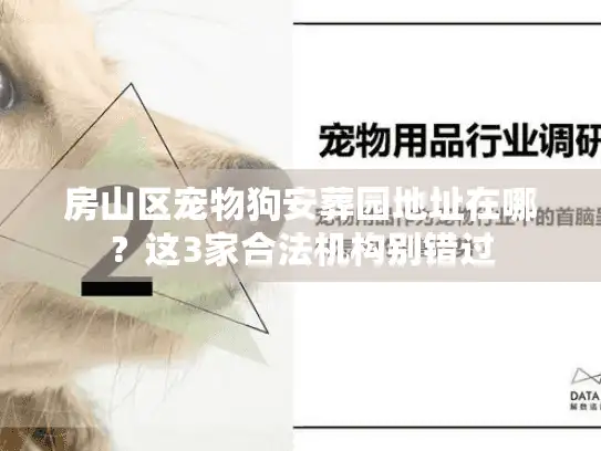房山区宠物狗安葬园地址在哪？这3家合法机构别错过