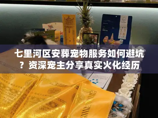 七里河区安葬宠物服务如何避坑？资深宠主分享真实火化经历