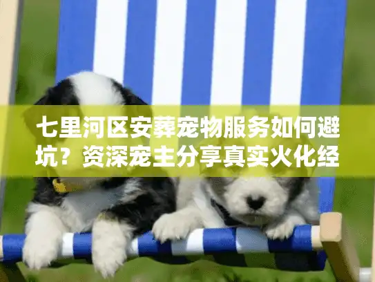 七里河区安葬宠物服务如何避坑？资深宠主分享真实火化经历