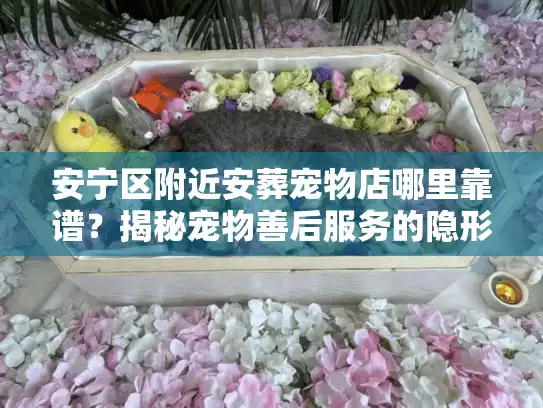 安宁区附近安葬宠物店哪里靠谱？揭秘宠物善后服务的隐形消费