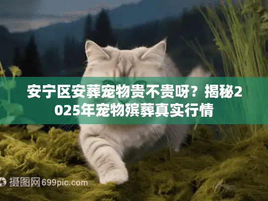 安宁区安葬宠物贵不贵呀？揭秘2025年宠物殡葬真实行情