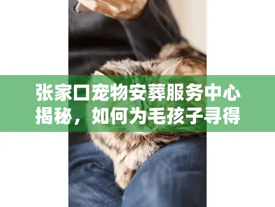 张家口宠物安葬服务中心揭秘，如何为毛孩子寻得最后归宿？