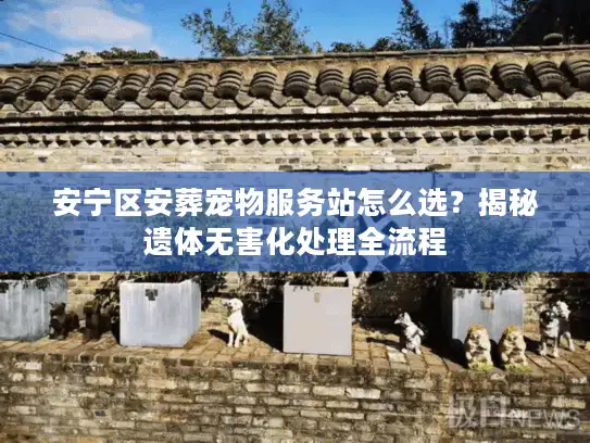 安宁区安葬宠物服务站怎么选？揭秘遗体无害化处理全流程