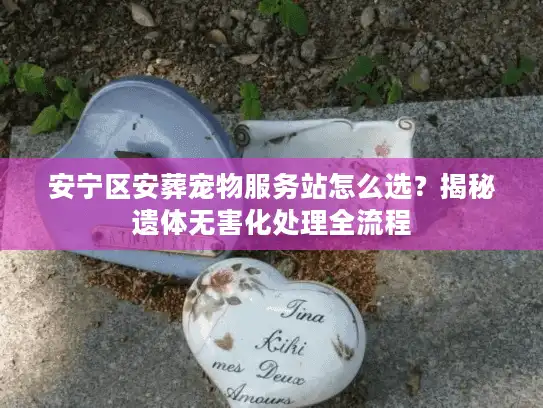 安宁区安葬宠物服务站怎么选？揭秘遗体无害化处理全流程