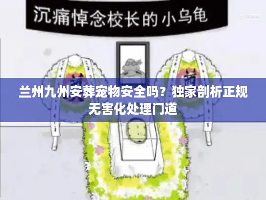兰州九州安葬宠物安全吗？独家剖析正规无害化处理门道