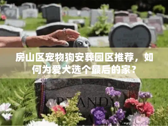 房山区宠物狗安葬园区推荐，如何为爱犬选个最后的家？