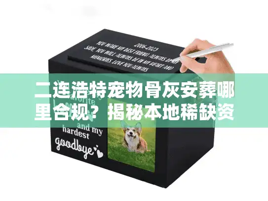 二连浩特宠物骨灰安葬哪里合规？揭秘本地稀缺资源与告别方案