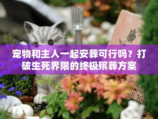 宠物和主人一起安葬可行吗？打破生死界限的终极殡葬方案