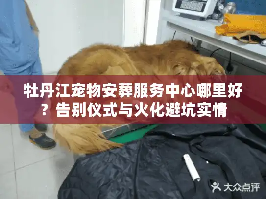 牡丹江宠物安葬服务中心哪里好？告别仪式与火化避坑实情