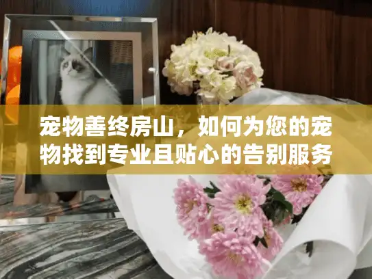 宠物善终房山，如何为您的宠物找到专业且贴心的告别服务？