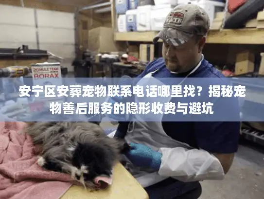 安宁区安葬宠物联系电话哪里找？揭秘宠物善后服务的隐形收费与避坑