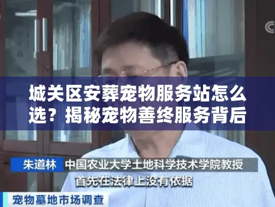 城关区安葬宠物服务站怎么选？揭秘宠物善终服务背后的门道