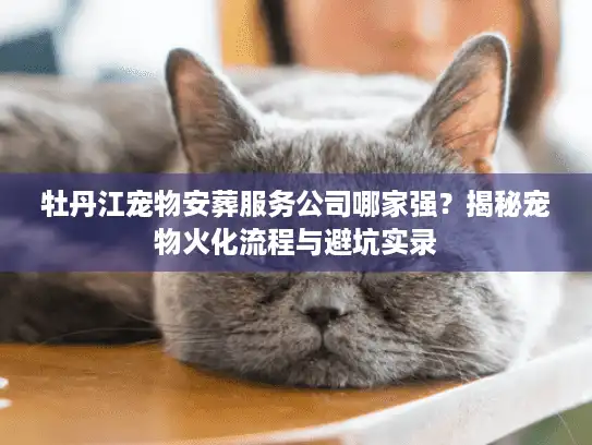 牡丹江宠物安葬服务公司哪家强？揭秘宠物火化流程与避坑实录