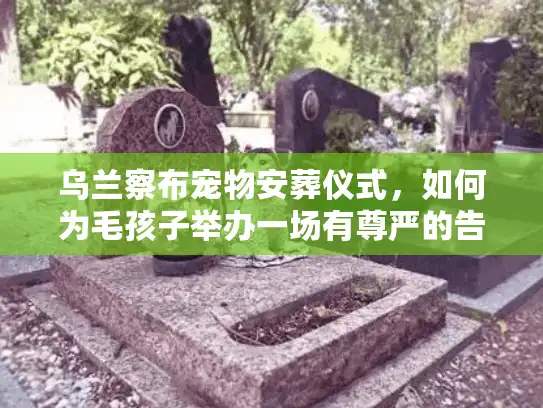 乌兰察布宠物安葬仪式，如何为毛孩子举办一场有尊严的告别？