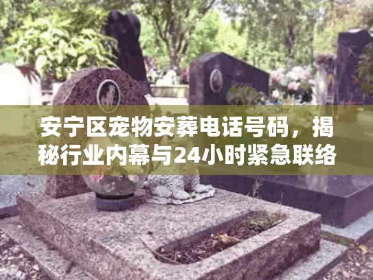 安宁区宠物安葬电话号码，揭秘行业内幕与24小时紧急联络渠道