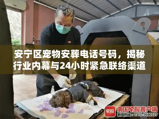 安宁区宠物安葬电话号码，揭秘行业内幕与24小时紧急联络渠道