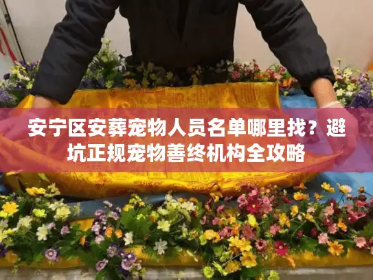 安宁区安葬宠物人员名单哪里找？避坑正规宠物善终机构全攻略