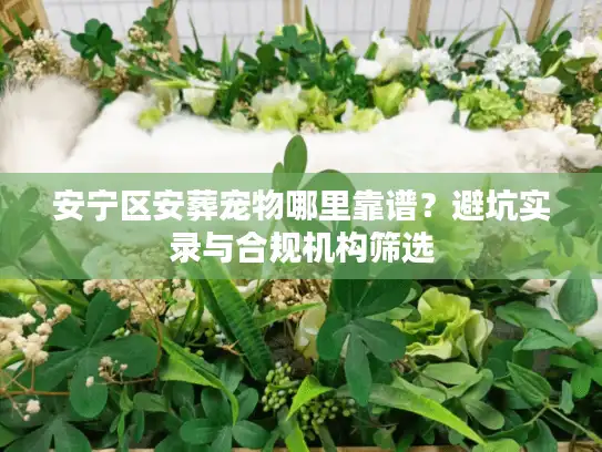 安宁区安葬宠物哪里靠谱？避坑实录与合规机构筛选