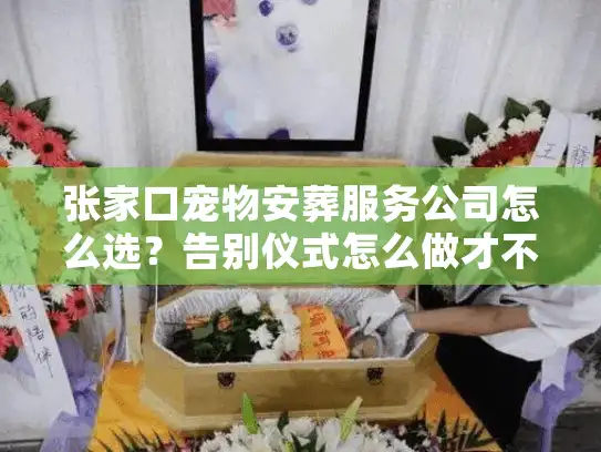 张家口宠物安葬服务公司怎么选？告别仪式怎么做才不留遗憾