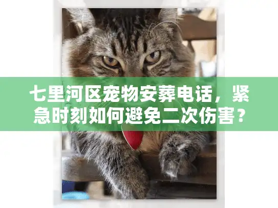 七里河区宠物安葬电话，紧急时刻如何避免二次伤害？