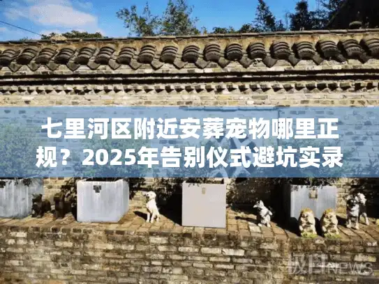 七里河区附近安葬宠物哪里正规？2025年告别仪式避坑实录