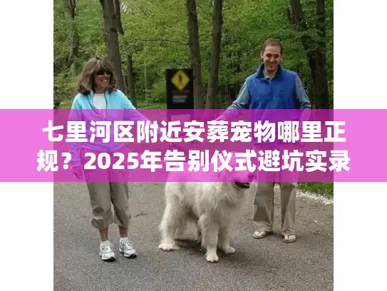 七里河区附近安葬宠物哪里正规？2025年告别仪式避坑实录