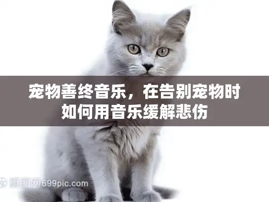 宠物善终音乐，在告别宠物时如何用音乐缓解悲伤