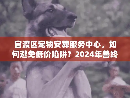 官渡区宠物安葬服务中心，如何避免低价陷阱？2024年善终实录