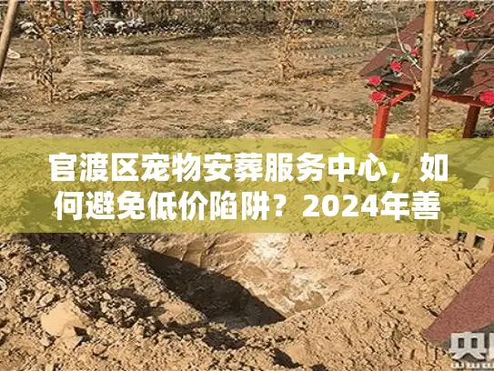 官渡区宠物安葬服务中心，如何避免低价陷阱？2024年善终实录