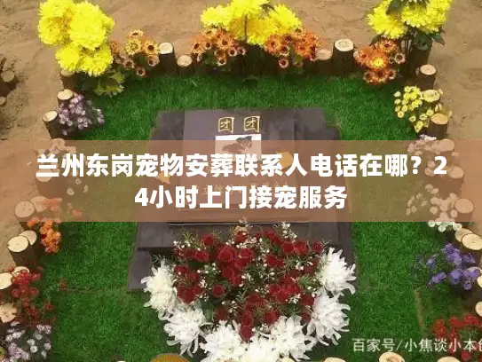 兰州东岗宠物安葬联系人电话在哪？24小时上门接宠服务