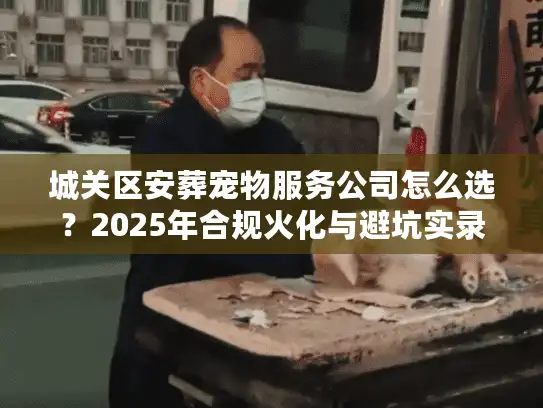 城关区安葬宠物服务公司怎么选？2025年合规火化与避坑实录