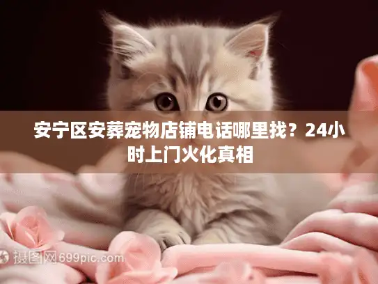 安宁区安葬宠物店铺电话哪里找？24小时上门火化真相
