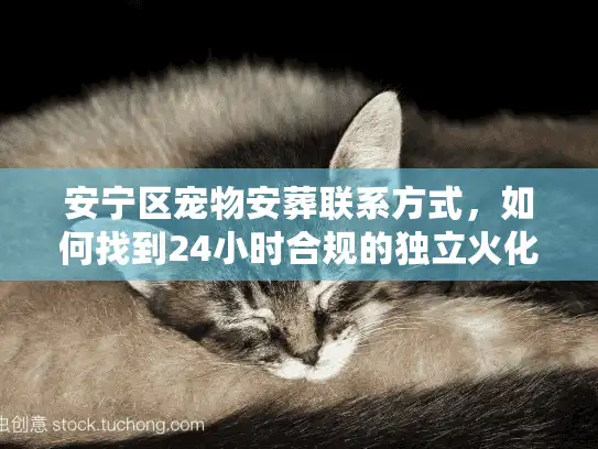 安宁区宠物安葬联系方式，如何找到24小时合规的独立火化服务？