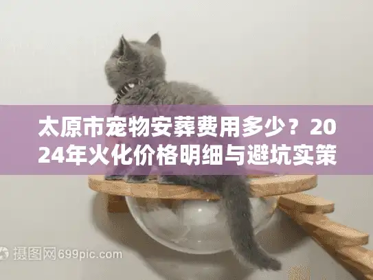 太原市宠物安葬费用多少？2024年火化价格明细与避坑实策