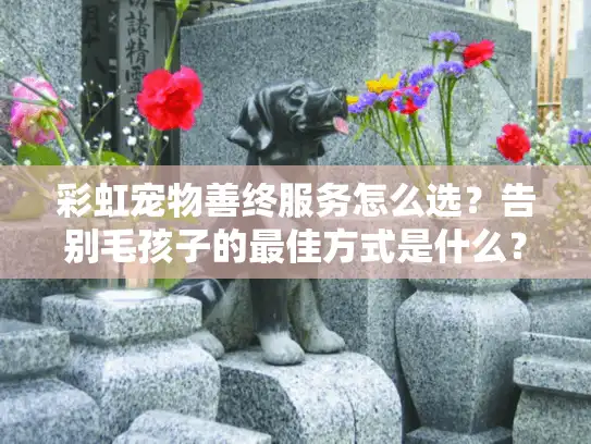 彩虹宠物善终服务怎么选？告别毛孩子的最佳方式是什么？