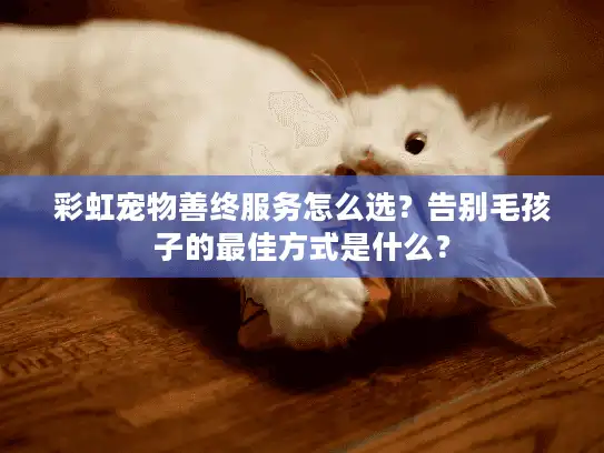 彩虹宠物善终服务怎么选？告别毛孩子的最佳方式是什么？