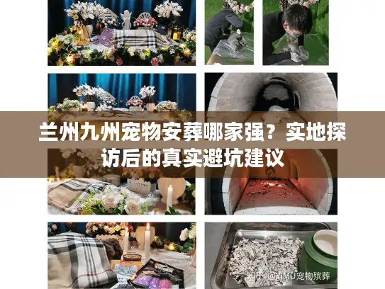 兰州九州宠物安葬哪家强？实地探访后的真实避坑建议