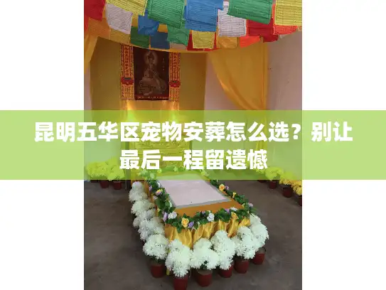 昆明五华区宠物安葬怎么选？别让最后一程留遗憾