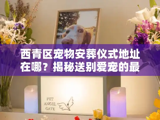 西青区宠物安葬仪式地址在哪？揭秘送别爱宠的最后温情时刻