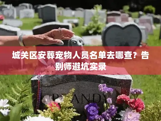城关区安葬宠物人员名单去哪查？告别师避坑实录