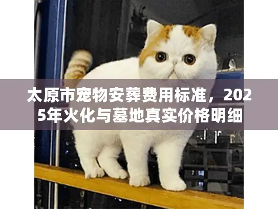 太原市宠物安葬费用标准，2025年火化与墓地真实价格明细