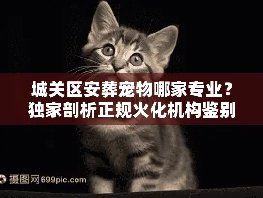 城关区安葬宠物哪家专业？独家剖析正规火化机构鉴别与收费标准
