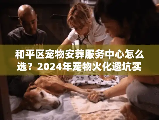 和平区宠物安葬服务中心怎么选？2024年宠物火化避坑实录与价格