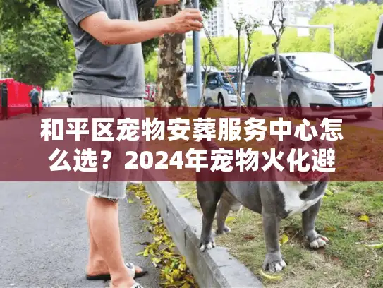 和平区宠物安葬服务中心怎么选？2024年宠物火化避坑实录与价格