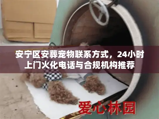 安宁区安葬宠物联系方式，24小时上门火化电话与合规机构推荐