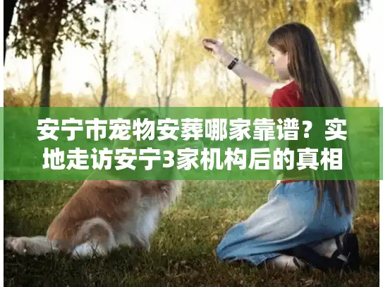 安宁市宠物安葬哪家靠谱？实地走访安宁3家机构后的真相